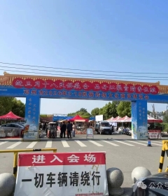 五一回邓州了吗？老乡，这里是三月十八现场